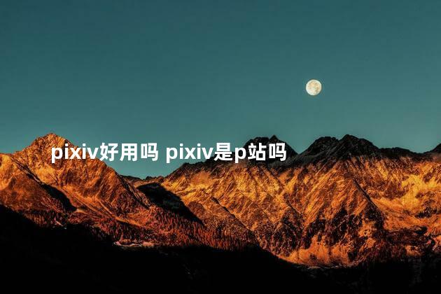 pixiv好用吗 pixiv是p站吗